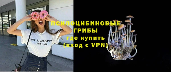 сатива Краснотурьинск