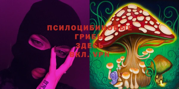сатива Краснотурьинск