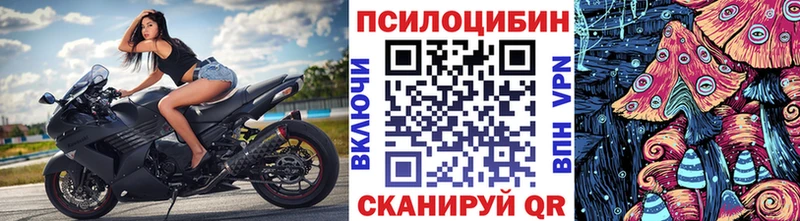 Купить где Бронницы Псилоцибиновые грибы мухоморы